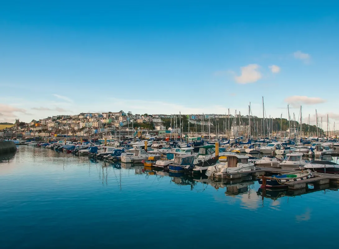 Brixham marina and colourful hillside in bright weather